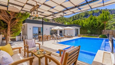 Villa Neco Korunaklı Havuz 45