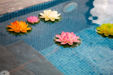 Villa White House Korunaklı Havuz 84